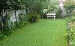 Puikook Design Lawn and Turf