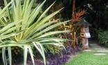Rainbow Landscaping Tropical Landscaping